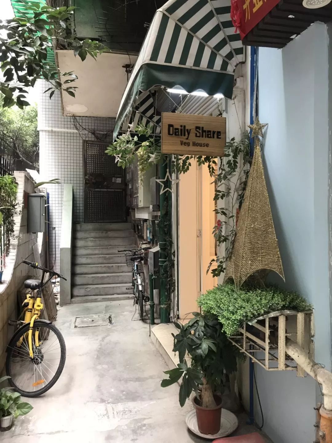 如何选对自己人生伴侣,如何挑选三观一致的人