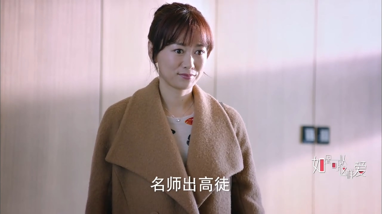 看电视学成语，场景化更好记：2019年《如果可以这样爱》第09集