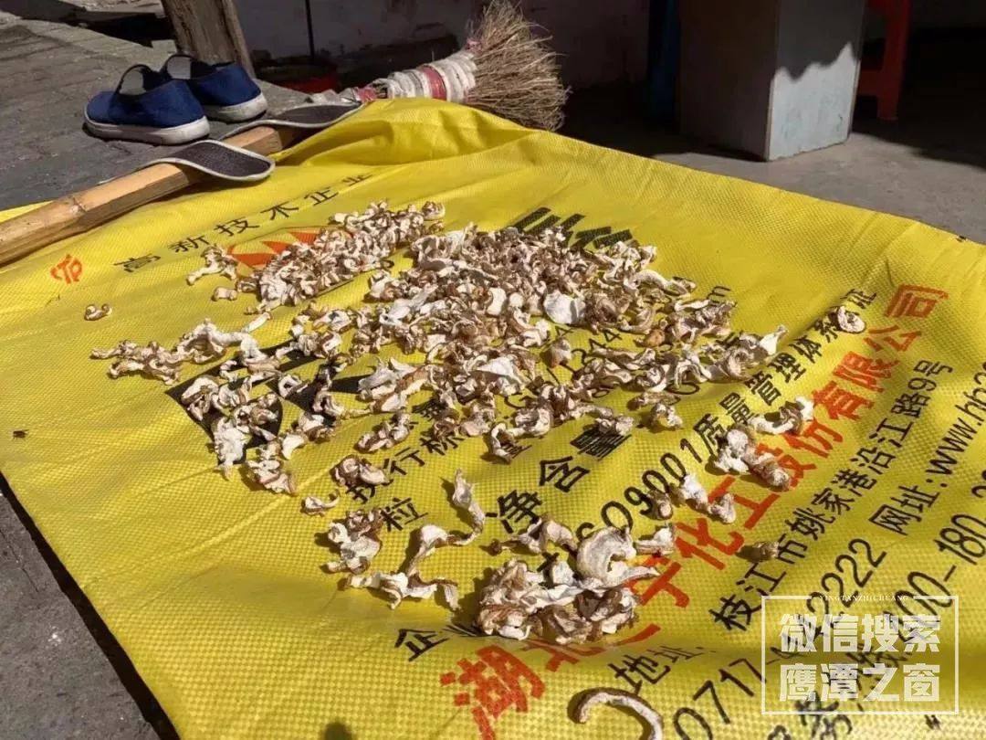 鹰潭交通街还有吗,鹰潭交通街