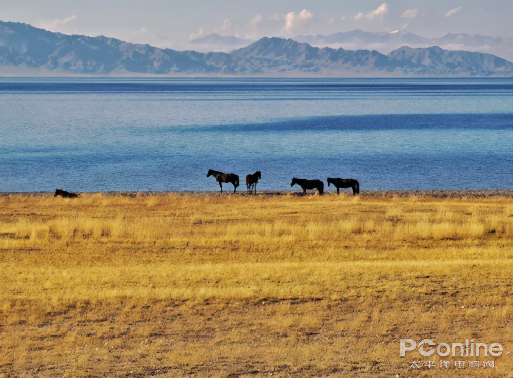 四大赏枫胜地你最想打卡哪个,赏枫胜地有哪些