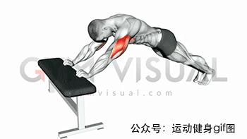 100张肌肉分解图,手臂肌肉的爆发力怎么练