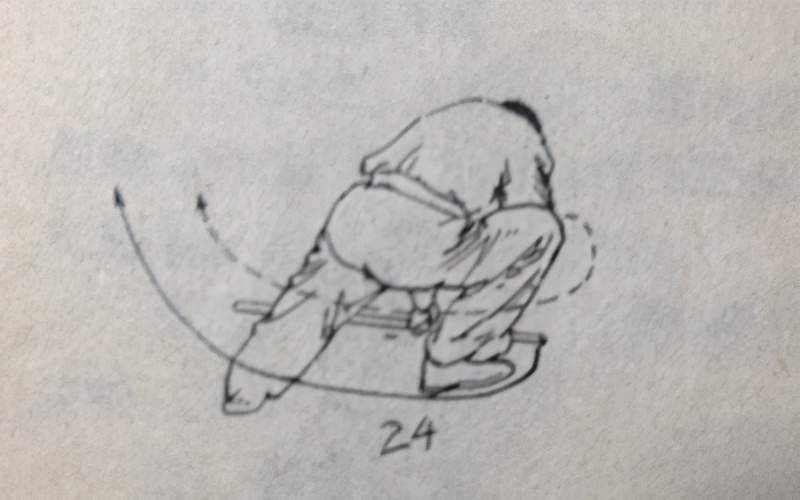 武术猴拳,武术猴拳视频