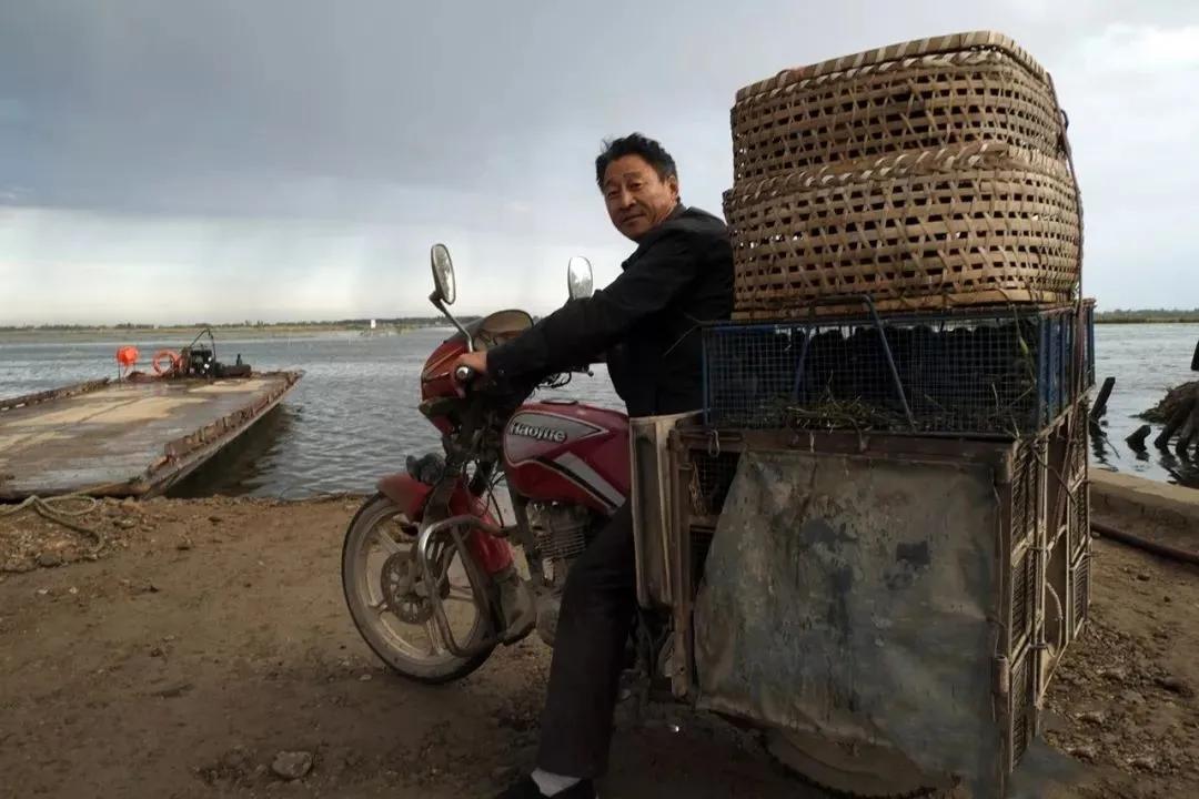 一曲《襄河水》一条流淌在心底的河没有大海的澎湃却从不曾忘记