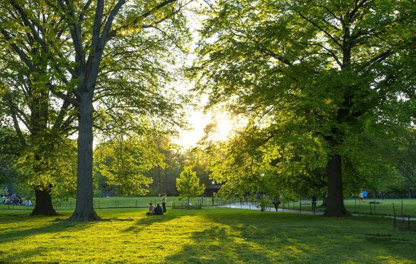 怀化市河西舞阳尚品星城售楼部,舞阳尚品星城1栋4号户型装修