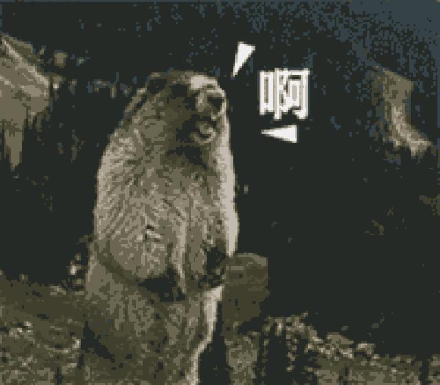 杭州2020年演唱会,今年杭州最火演唱会