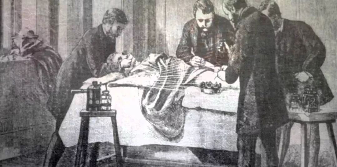 蚂蚁和蚂蚁之间是怎样沟通的呢,蚂蚁和米混在一起怎么拿出来