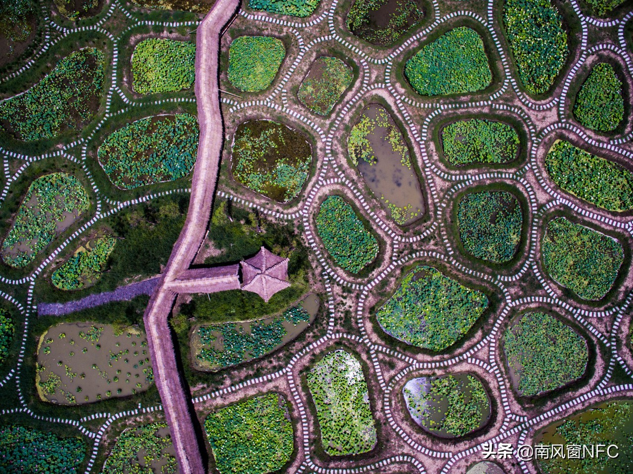 一个守护文脉的截面：省锡中纪事