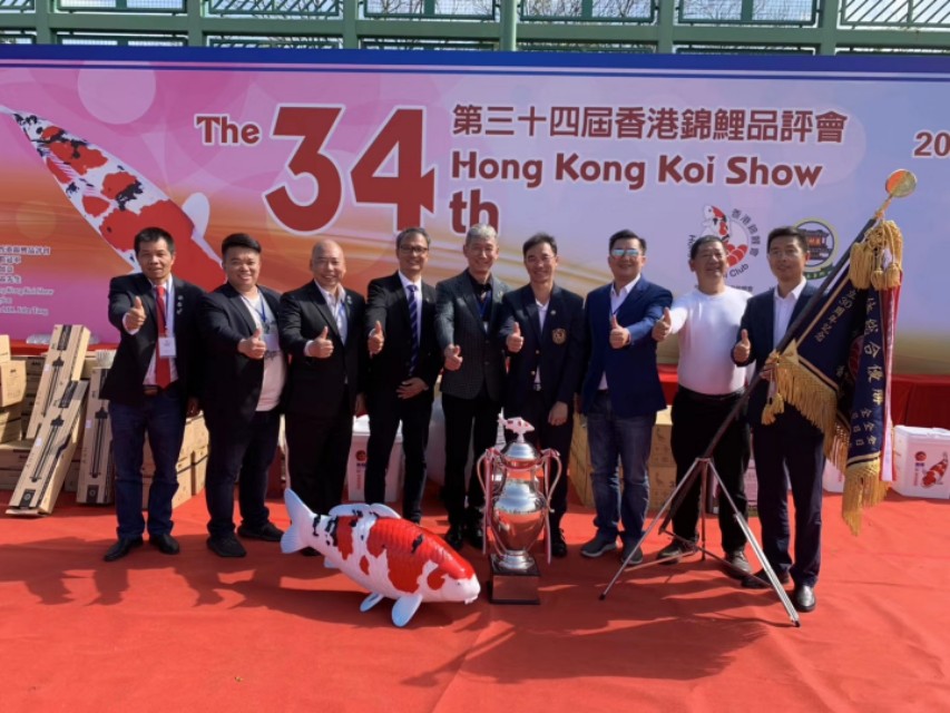 锦鲤起源与市场,锦鲤的发展趋势