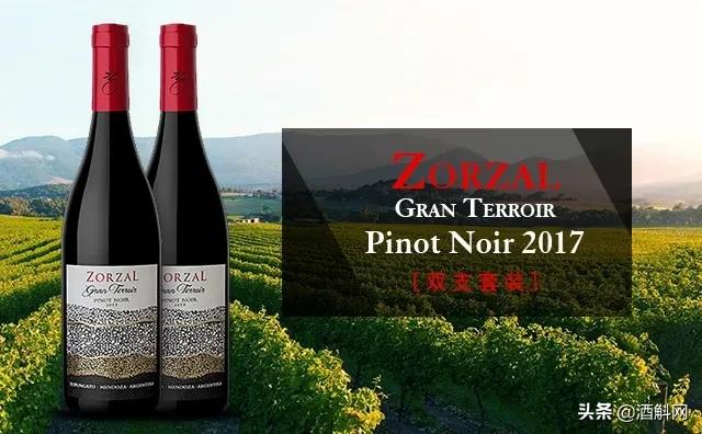 一瓶真正的自然酒的诞生丨Zorzal酒庄专访