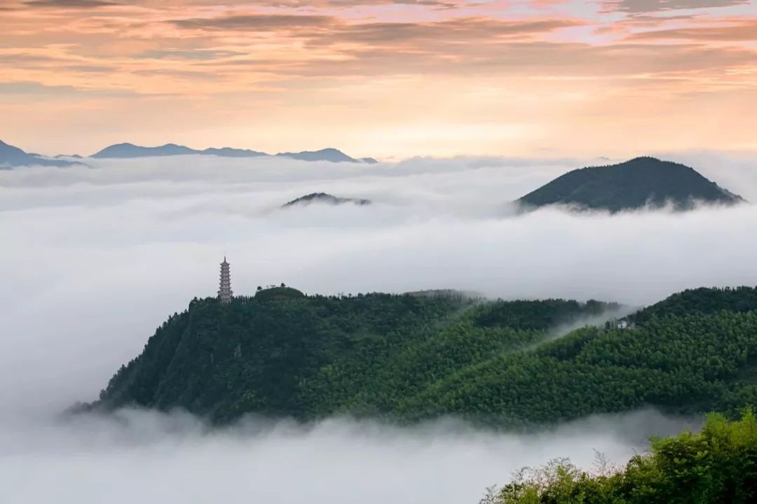 什么是台州畅行码,什么是台州