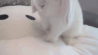 科学的吐槽这些日妆大牌，让我们用成分说话