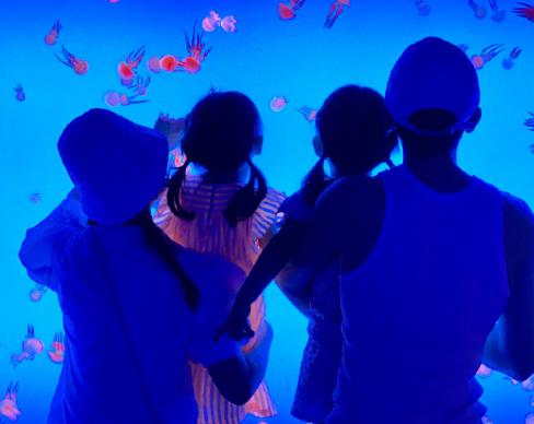 张杰与谢娜二胎压力大,张杰谢娜生二胎是双胎吗