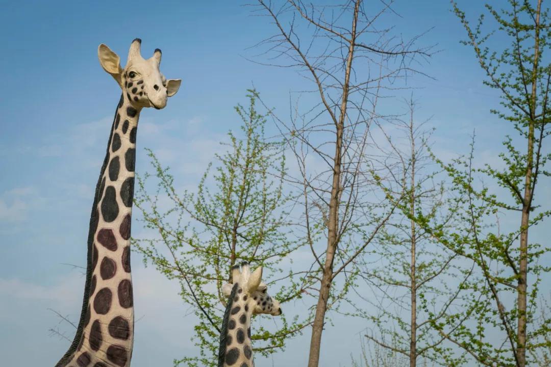 郑州亲子游户外公园十大排行榜,郑州免费适合遛娃玩的公园