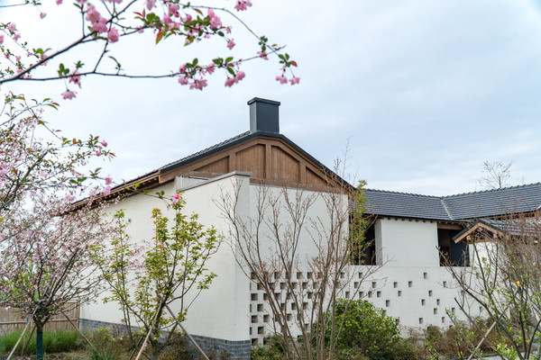 踏春赏花拍美景,踏春赏花逛湖