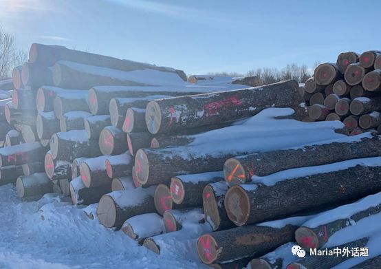 美国硬木干货价格,北美硬木排行
