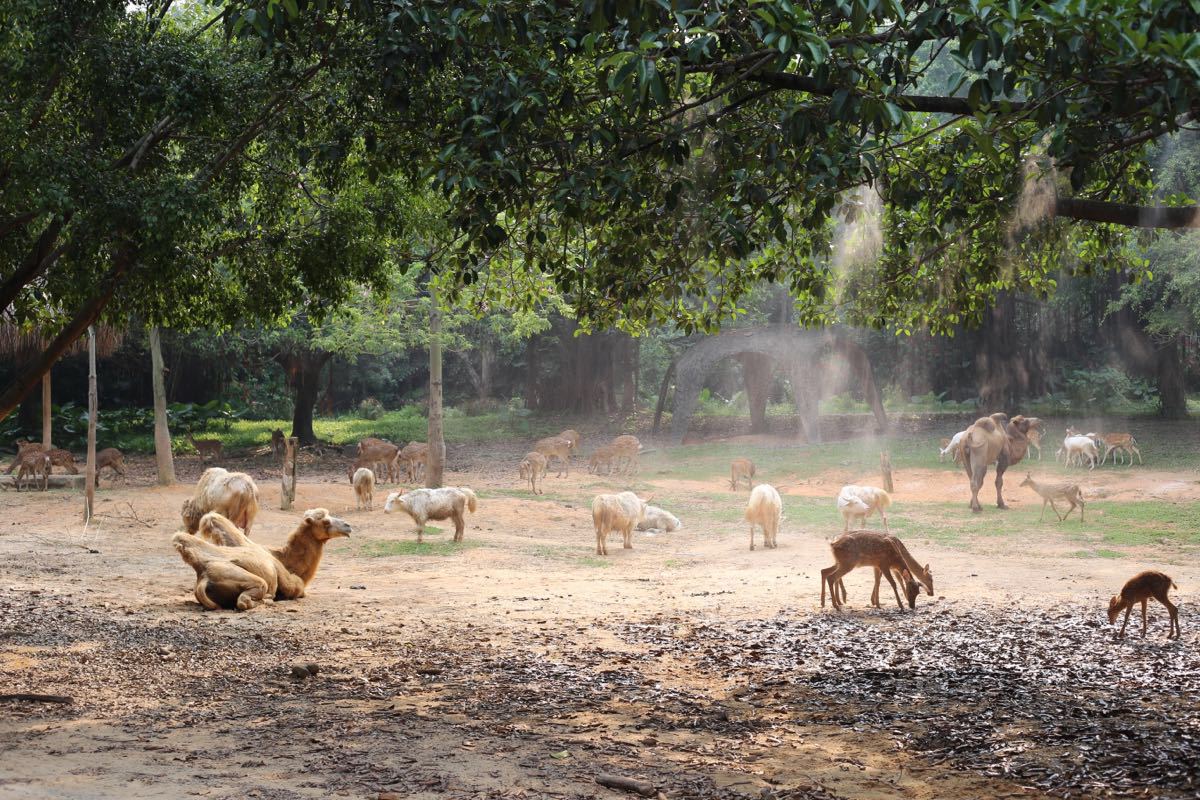 2021年西霞口野生动物园门票五一,2021南京金牛湖野生动物园门票