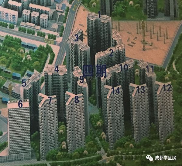 成师附小分校有哪些,成师附小哪个分校最好