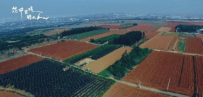 豆瓣9.2分的教训,豆瓣9.7可怕之处