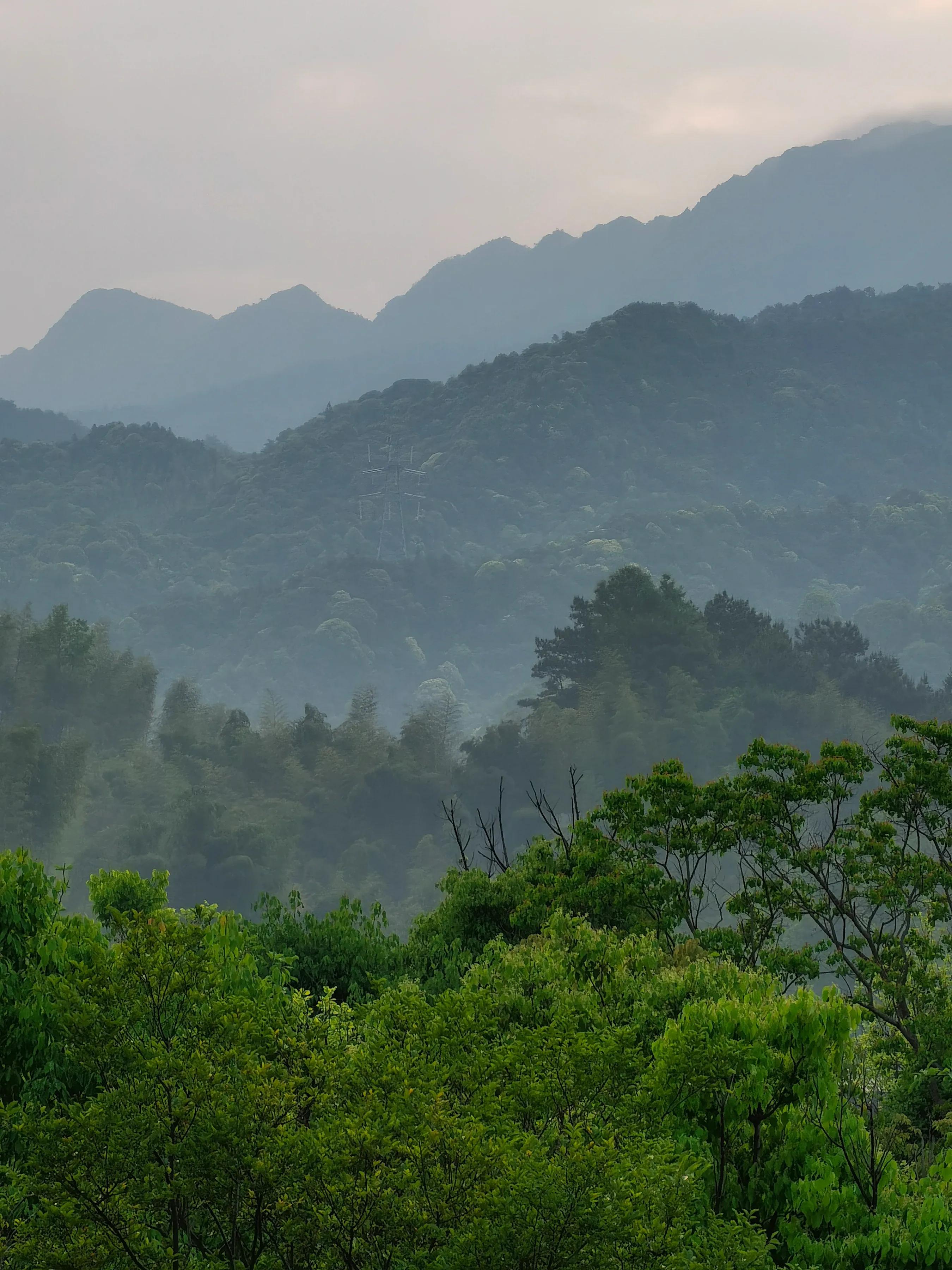 手机摄影手册圈友作品选第7期,手机摄影手册圈友作品选第6期