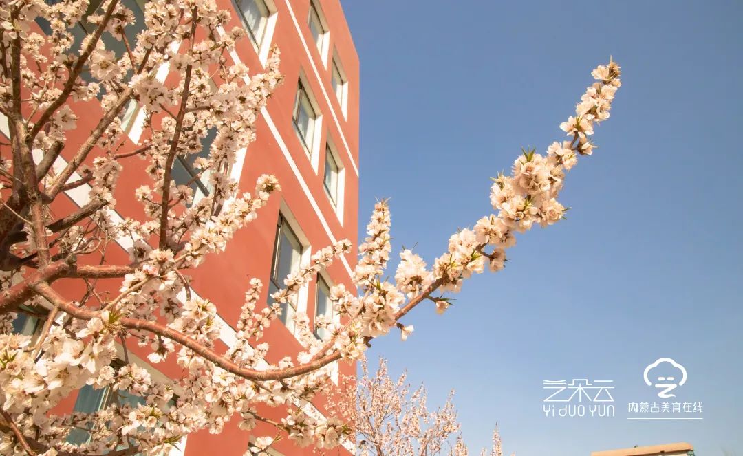 “七个一”先锋在行动｜小小讲解员带你游包钢实验二小