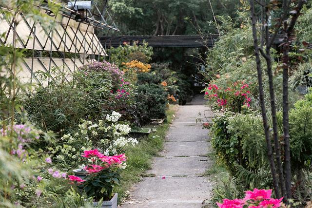 深圳1号线晚上好去处,坐地铁1号线玩遍深圳24个好地方