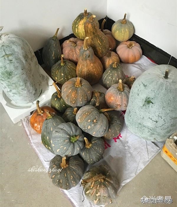 去乡下的婶婶家摘水果，堂哥下厨做了一桌客家菜，撑到打饱嗝