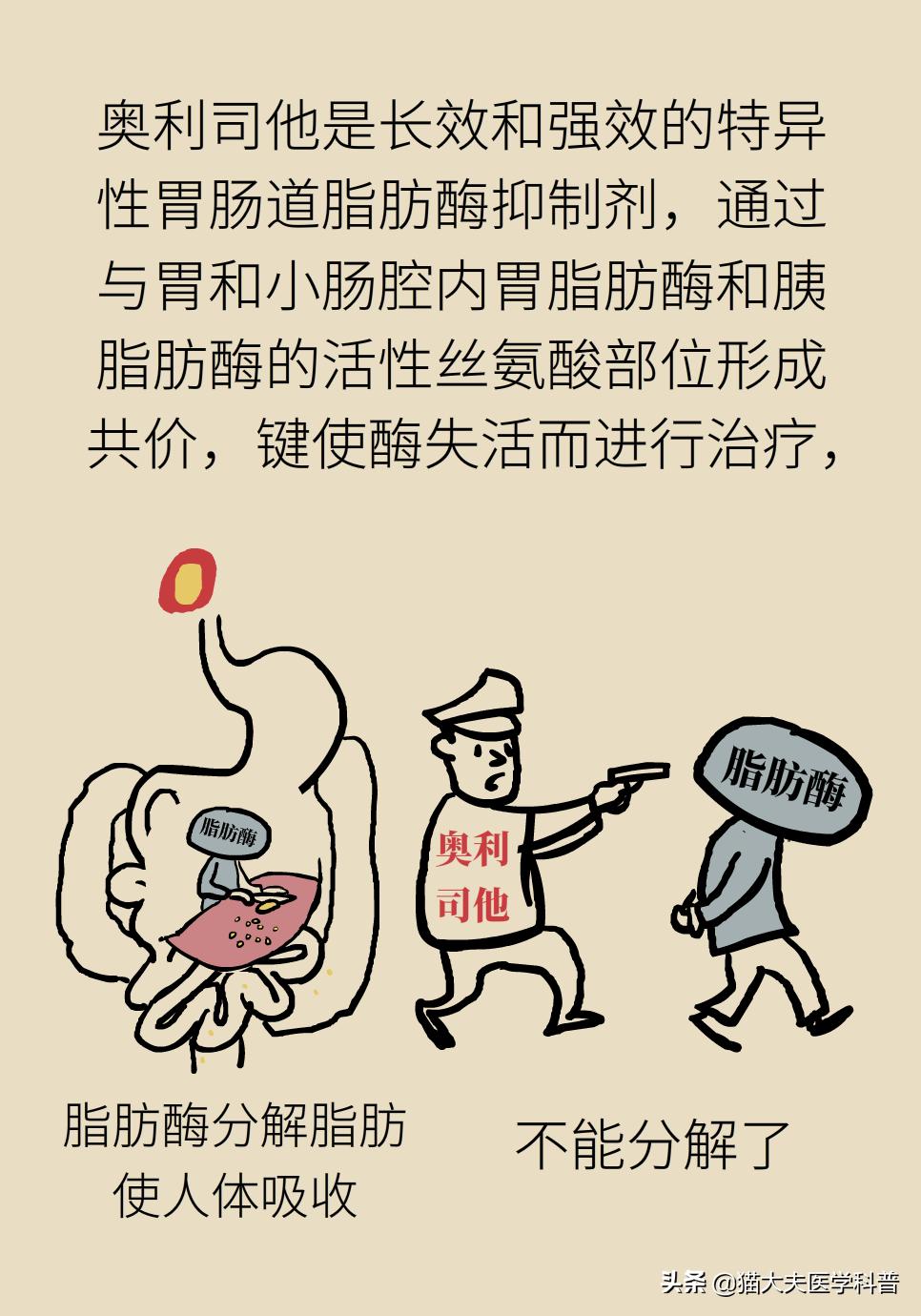 国家批准的减重药,国家唯一批准减肥的药