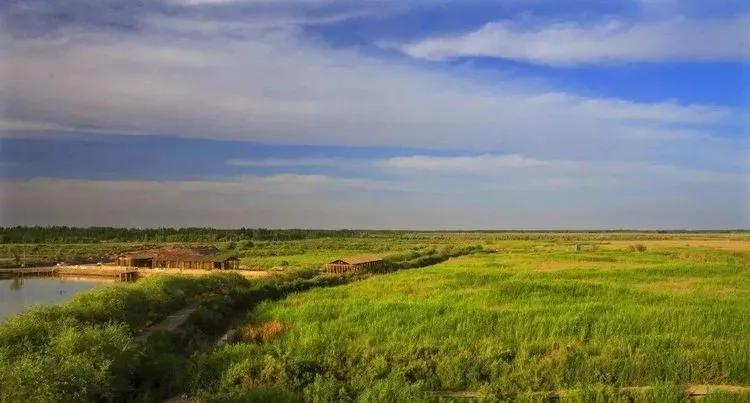 万里丝绸路,万里茶道丝绸之路