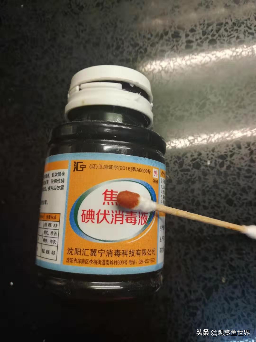 红财神鹦鹉,财神鹦鹉掉鳞怎么恢复