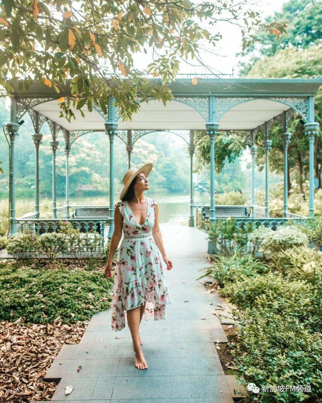 新加坡网红拍照店,新加坡网红点如何拍照