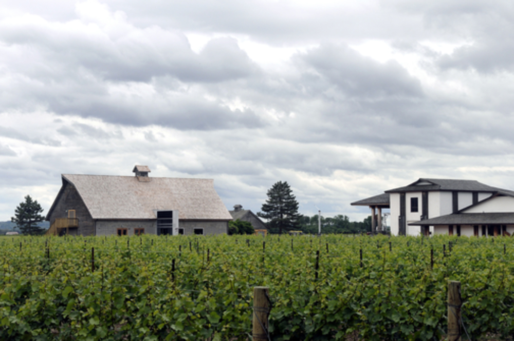 玩好的，更要买好的！