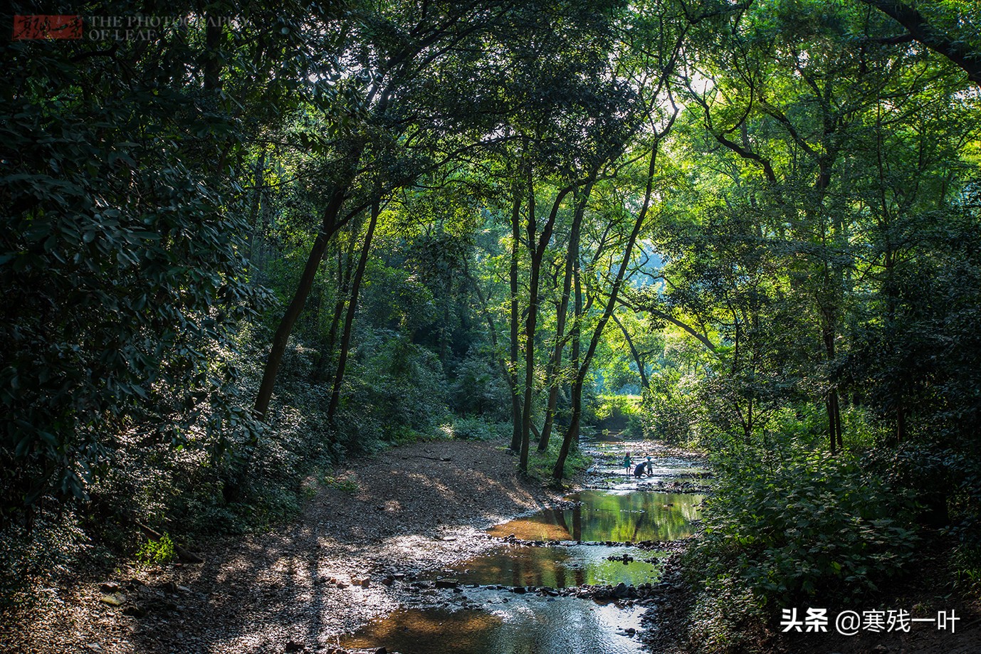 杭州当地人推荐的景点,杭州人避暑去哪