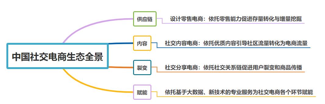 国内社交电商的研究现状,中国社交电商