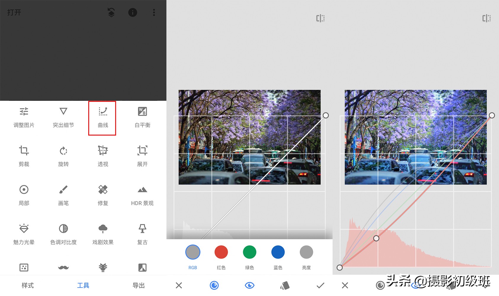小清新摄影后期修图教程,花卉照片修图技巧