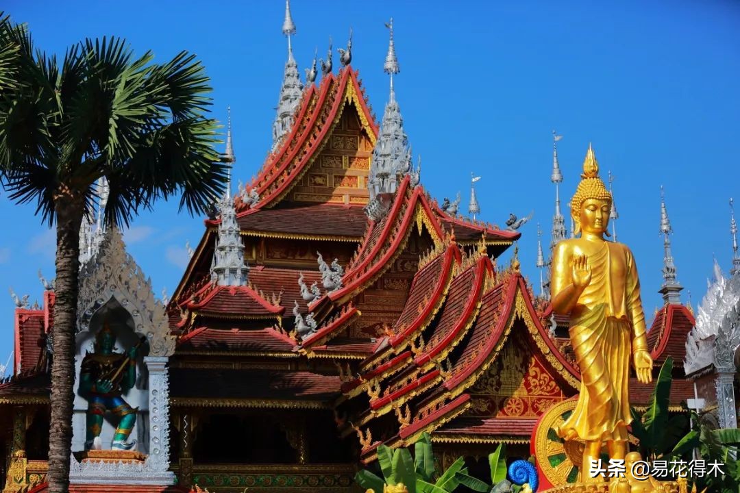 佛教为什么有五树六花,佛教中的五树六花图片