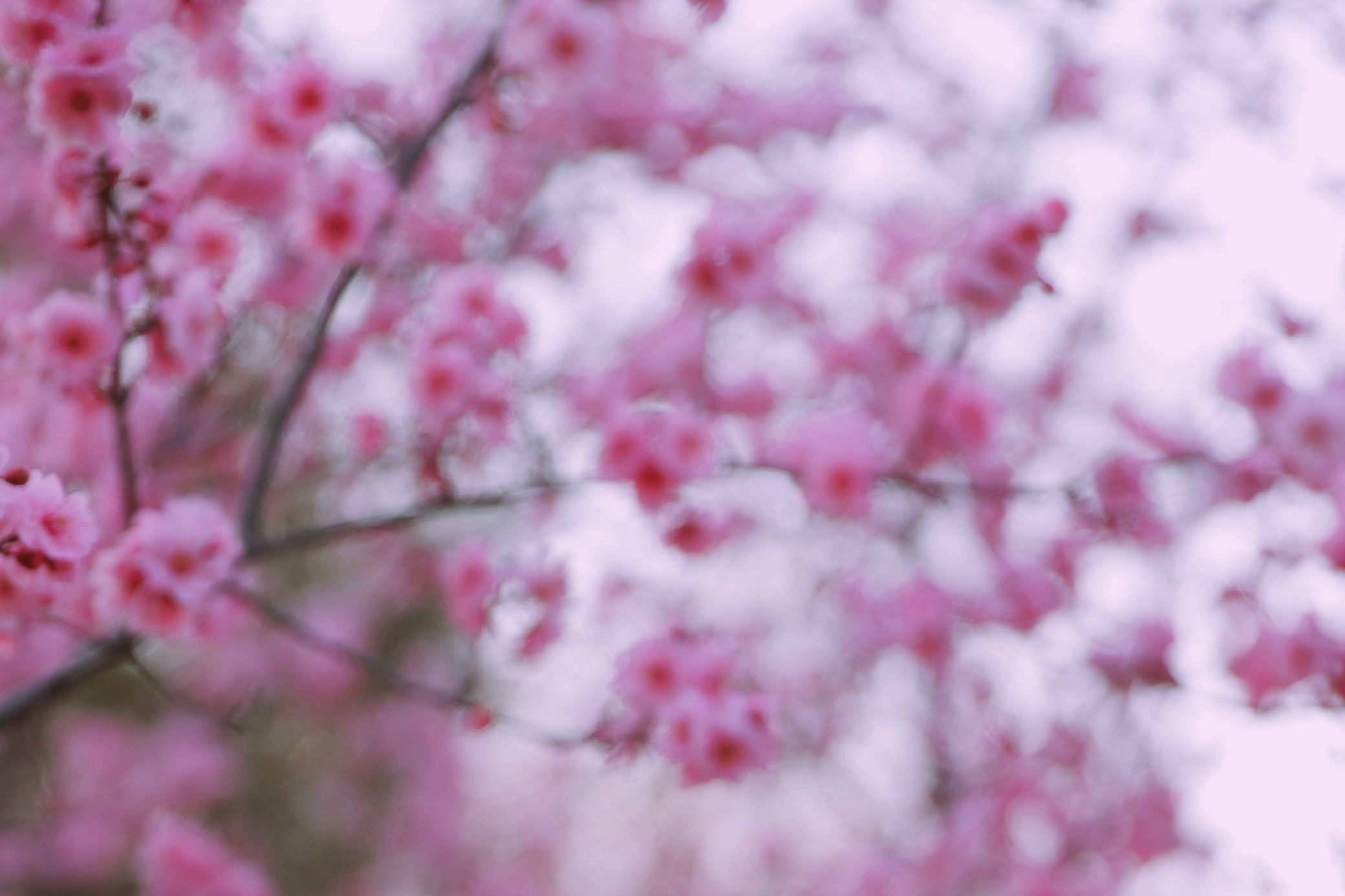 济南值得打卡的公园,好玩的泉城公园