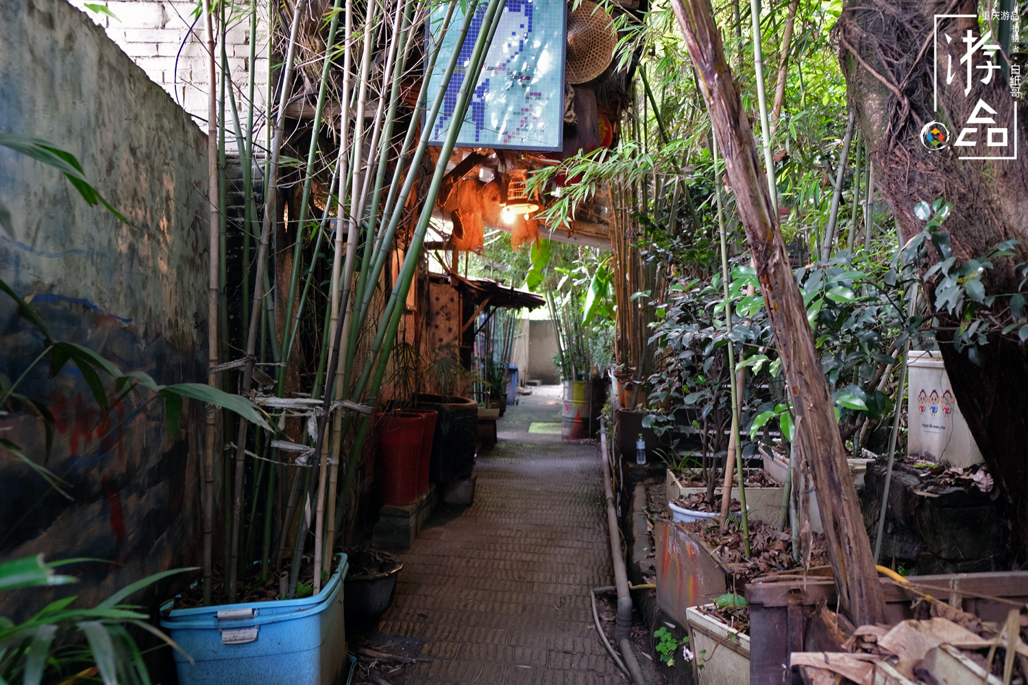 燕子岩重庆,重庆燕子岩风景区