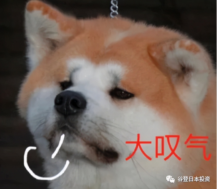 日语易写错的字,日语词容易得歧义