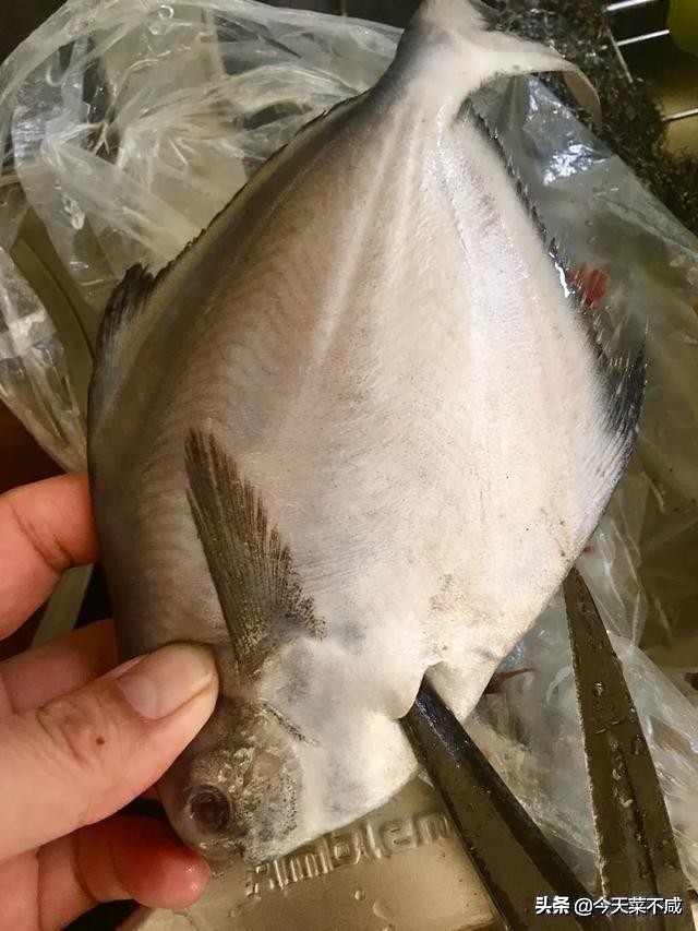 饭店大厨做平鱼最好吃的做法,美食平鱼的制作