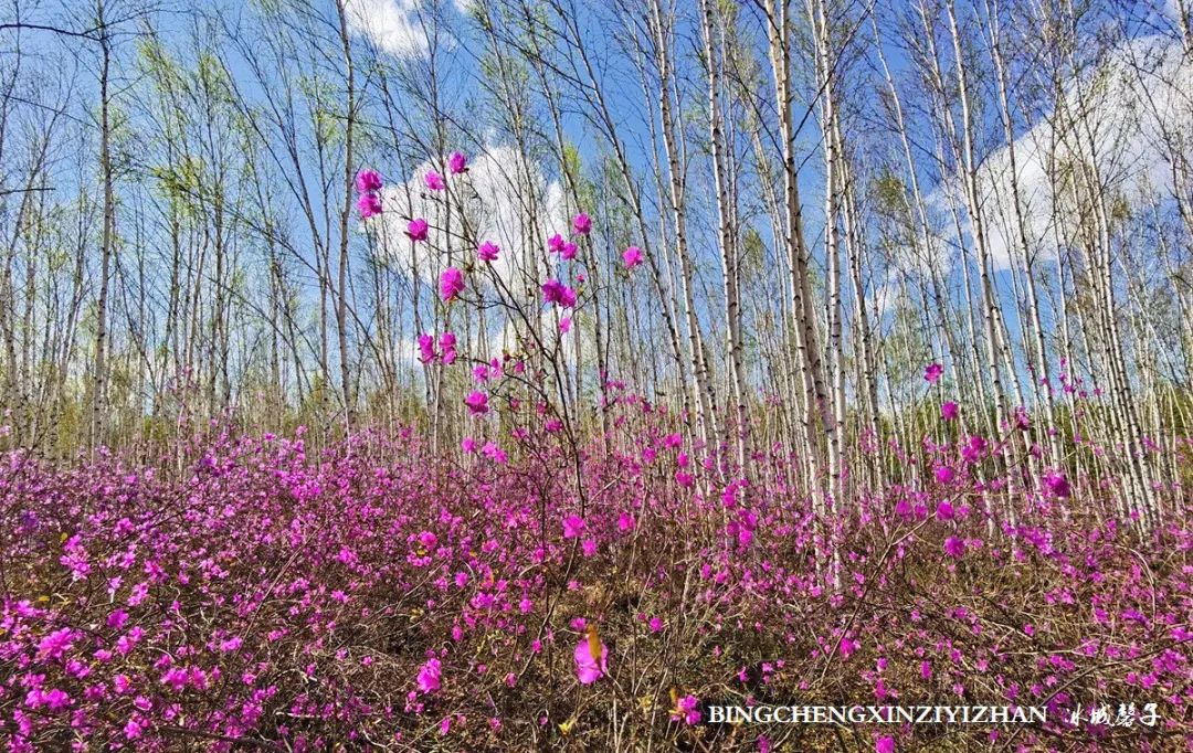 寻找中国最美的春季,探寻中国最美秘境