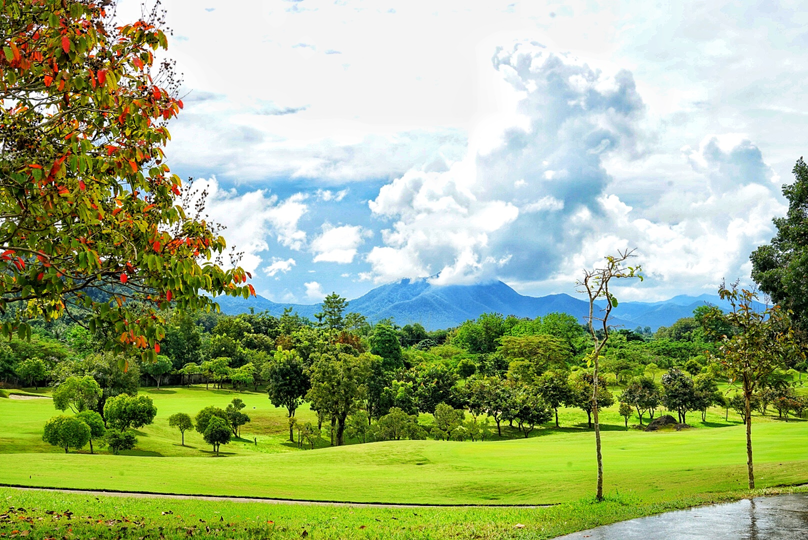 神奇泰国游,清迈古城温暖的风景