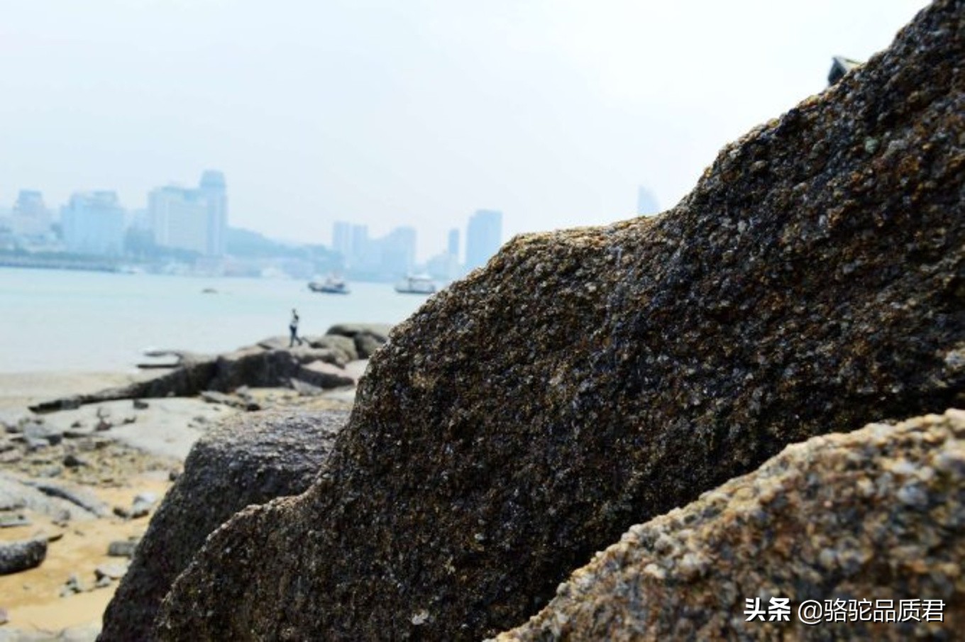 厦门海边之旅,厦门小众旅游体验