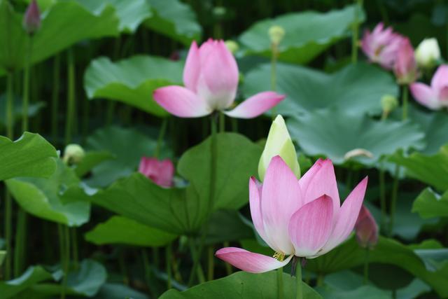 题目《宝儿》，作者——喜喜