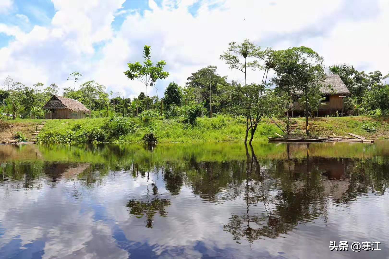 亚马逊热带雨林食人花奇妙之旅,去亚马逊热带雨林探险