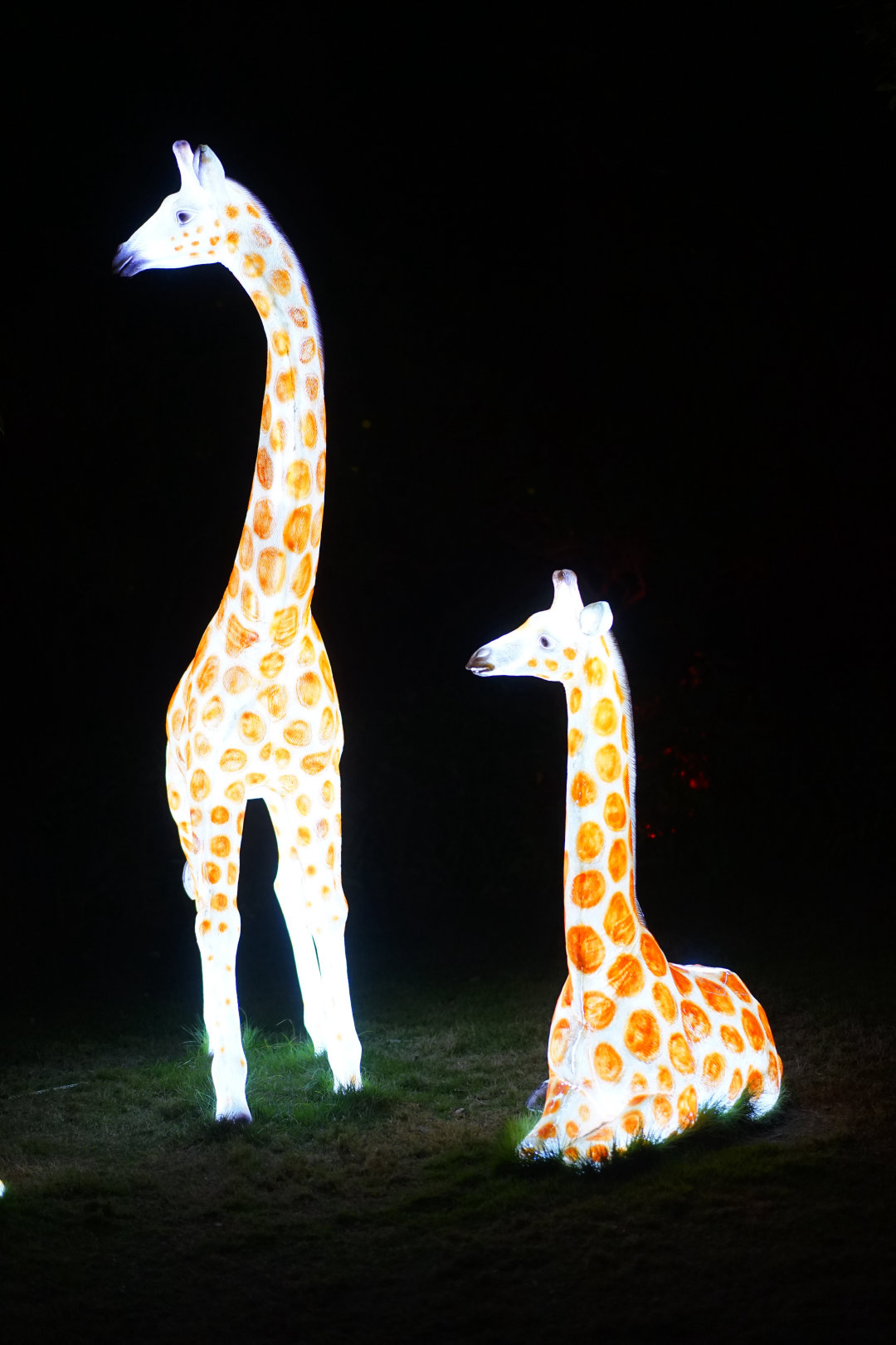 清远森波拉避暑胜地,森波拉奇妙世界温泉门票价格