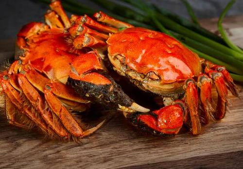 吃不完的螃蟹不要直接放冰箱,吃不完的螃蟹可以放冰箱保鲜吗