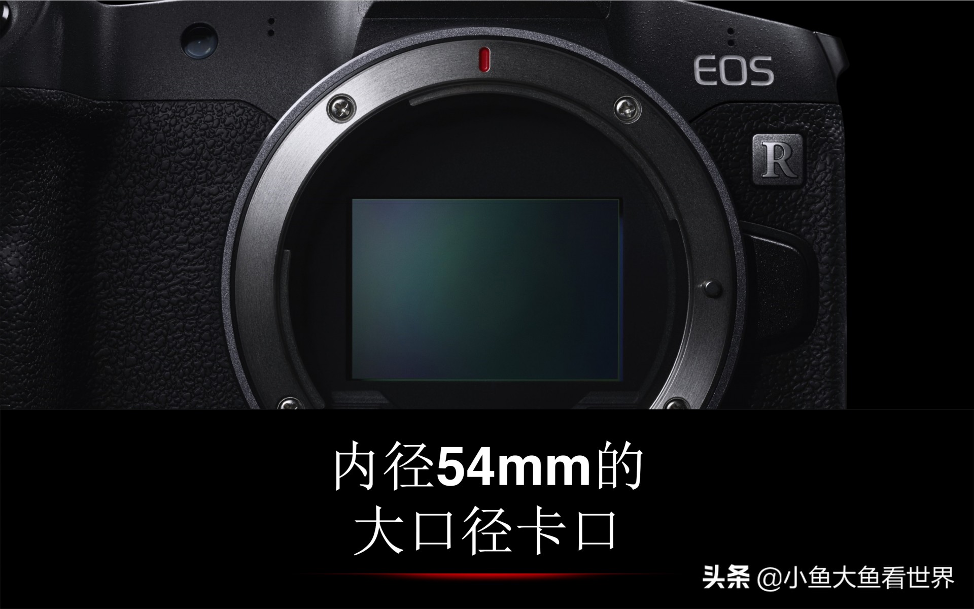佳能rf镜头为什么那么贵,佳能rf镜头还会降价吗