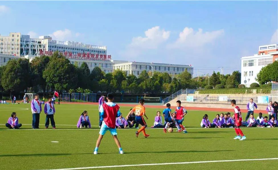 多元升学路径助力孩子圆梦名校,多元升学途径与学业规划