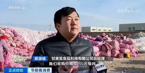 洋葱价格后期看涨,今年种洋葱行情怎么样