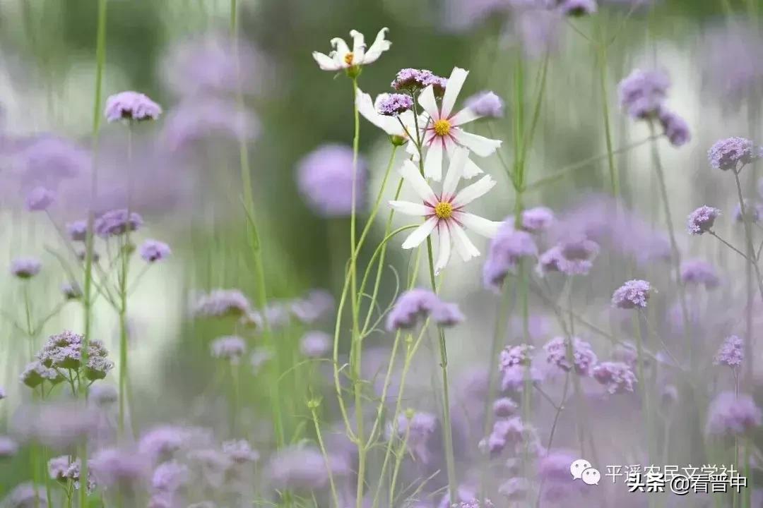 晋中婚宴,晋中旅行图文日记